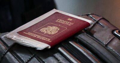 Под Киевом задержали россиянина, "украсившего" паспорт флагом Украины (фото)