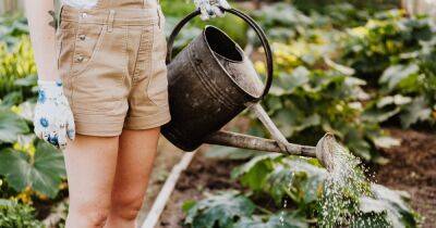 Ученые рассказали, почему садоводство позитивно влияет на здоровье