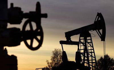 Эксперт рассказал, на какой срок хватит мировых запасов нефти
