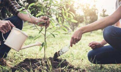 Садоводство положительно влияет на человека: ученые рассказали, почему - unn.com.ua - Украина - Киев - state Colorado