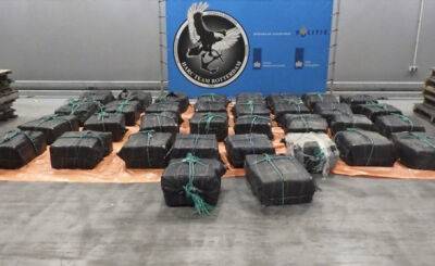 Таможенники в порту Роттердама изъяли 4,7 кг кокаина в порту Роттердама