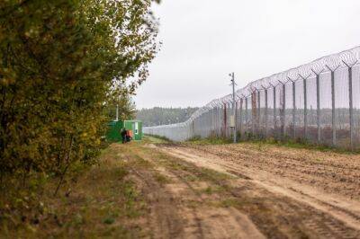 Проекты, узаконивающие разворот мигрантов – на столе Кабмина Литвы