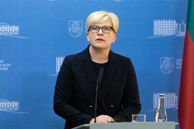 Премьер Литвы: переговоры со шведами о "сверхприбылях" за электричество могут затянуться (СМИ)