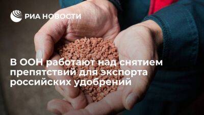 В ООН заверили, что работают над снятием препятствий для экспорта российских удобрений