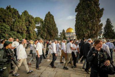 Во время празднования Суккот на Храмовой горе ожидается рекордное количество верующих
