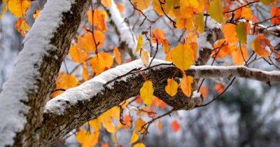Первый снег и второе "бабье лето": какой будет погода в октябре в Украине