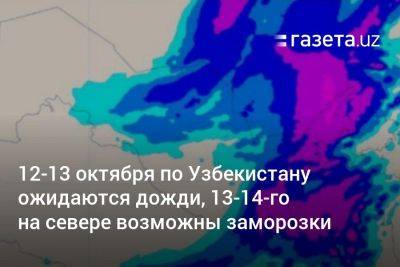 12−13 октября по Узбекистану ожидаются дожди, 13−14-го на севере возможны заморозки
