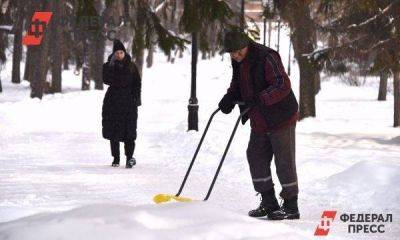 Петербургские власти готовы потратить на уборку снега почти 200 млн рублей
