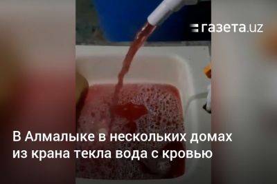 В Алмалыке в водопровод нескольких домов попала кровь из скотобойни