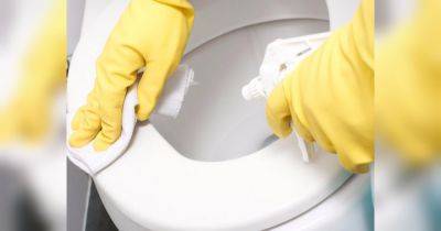 Уксус, мыло и таблетки: как быстро и эффективно отмыть унитаз
