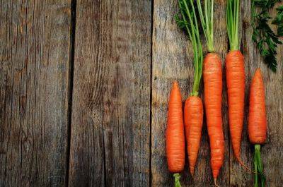 Как хранить морковь зимой – советы огородников - apostrophe.ua - Украина