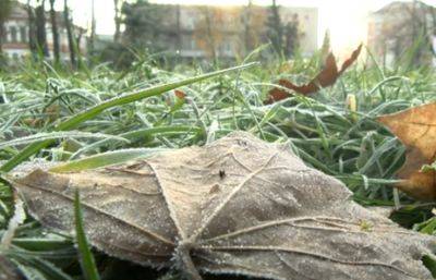 Наденьте шапку и куртку - всю Украину накроют сильные заморозки: синоптики уточнили погоду на сегодня