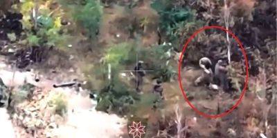 Командиры оккупантов развлекаются избиением своих солдат палками, как крепостных — видео