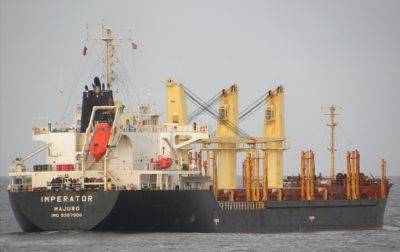 В украинские порты зашли три судна - журналист