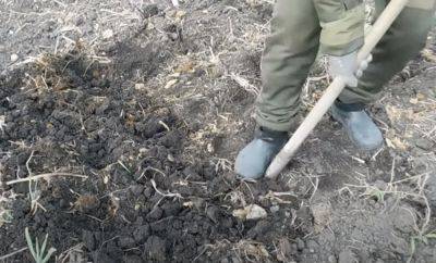 Археологи позавидуют: украинец вскапывал теще огород и раскопал уникальную вещь из прошлого