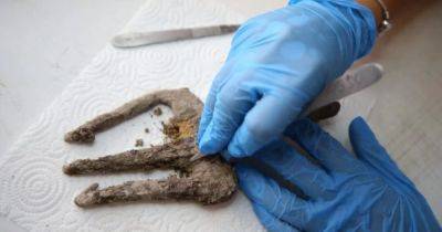 Редкая находка: ученые нашли древний трезубец в Турции, которому почти 2 тысячи лет (фото)