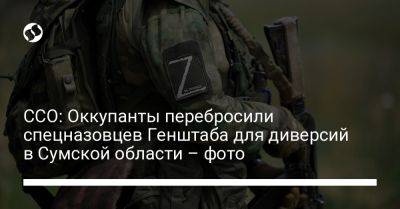 ССО: Оккупанты перебросили спецназовцев Генштаба для диверсий в Сумской области – фото