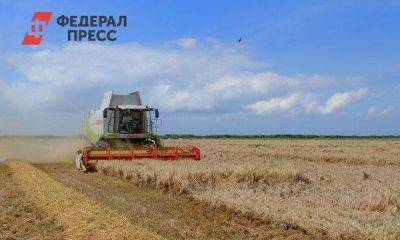 Челябинский министр АПК Алексей Кобылин: «Продовольственного кризиса на Южном Урале не будет»