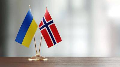 Норвегия предоставит Украине около 17 млн на разминирование