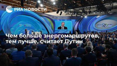 Путин: чем больше энергомаршрутов, тем легче выбрать оптимальный