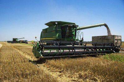 Зерновые дешевеют на торгах в Чикаго перед выходом отчета Минсельхоза США