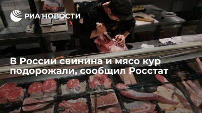 Росстат: В РФ свинина и мясо кур подорожали, плодоовощная продукция подешевела