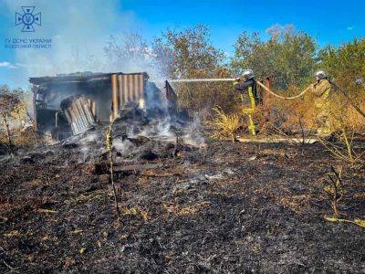 В Одесской области поймали шестерых поджигателей травы | Новости Одессы