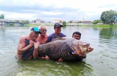 В Таиланде рыбак поймал карпа весом 114 кг - фото и видео