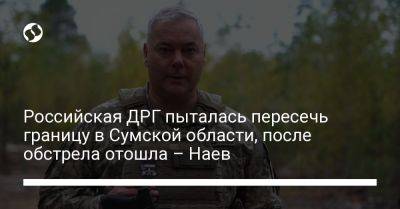 Российская ДРГ пыталась пересечь границу в Сумской области, после обстрела отошла – Наев