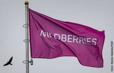 Wildberries начал взимать комиссию при оплате покупок картами Visa и Mastercard