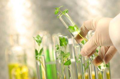В Сырдарье создадут технопарк по производству биотехнологической продукции стоимостью $50 миллионов