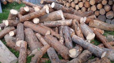 Это должен знать каждый житель села: какими дровами нельзя топить печь