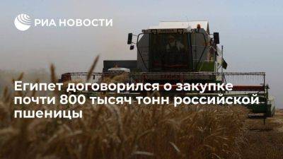 СЭЗ: Египет договорился с Россией о закупке почти 800 тысяч тонн пшеницы
