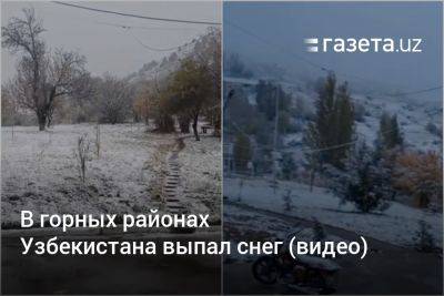 В горных районах Узбекистана выпал снег (видео)