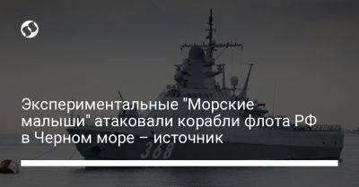 Экспериментальные "Морские малыши" атаковали корабли флота РФ в Черном море – источник