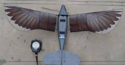 Не отличить от птицы: представлен дрон Xinge, который пригодится и ученым и военным (фото)