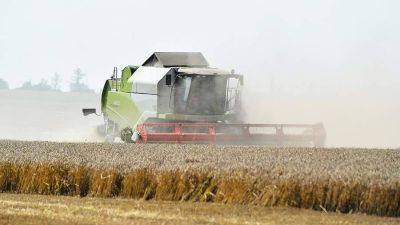 Путин предрек сохранение первенства по экспорту пшеницы за Россией