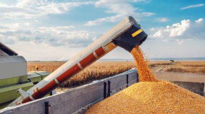 Румыния официально утвердила новые правила импорта украинского зерна