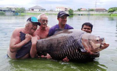 В Таиланде мужчина поймал гигантского карпа — фото