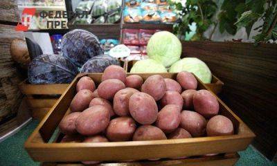 В Новосибирской области изменились цены на картофель и свеклу