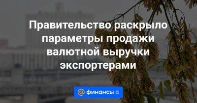 Правительство раскрыло параметры продажи валютной выручки экспортерами