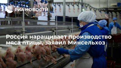 Минсельхоз: РФ наращивает производство мяса птицы для обеспечения населения