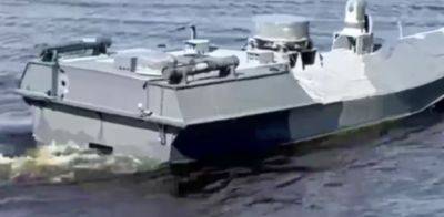 "Не надо ходить украинскими водами": В СБУ рассказали об атаках кораблей РФ экспериментальным вооружением