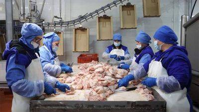 В Минсельхозе не подтвердили дефицит куриного мяса в России