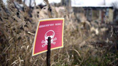 Зеленский: Почти треть территории Украины – в опасности из-за мин и снарядов