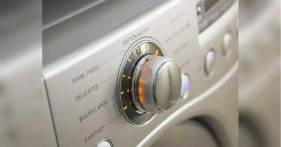Холодильник и «стиралка» должны быть заполненными: пять моментов, которые помогут сэкономить электричество