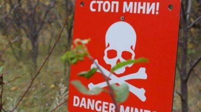 На Николаевщине в результате подрыва на мине погиб ребенок – МВД