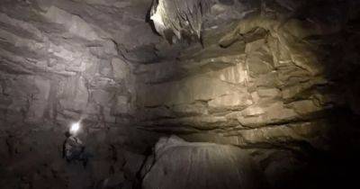 С алигатором внутри: что известно о британской "пещере браконьера", которой полмиллиона лет