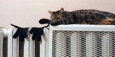 Как сохранить тепло дома: три экономных совета, которые спасут от холода
