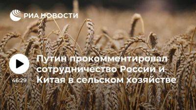Путин: сотрудничество России и Китая в сельском хозяйстве расширяется